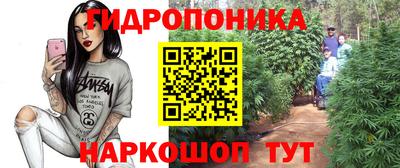 прущие крисы Конаково