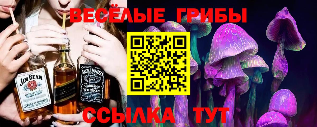 Буйнакск  Псилоцибиновые грибы Psilocybe  Вход с VPN  Псилоцибиновые грибы мицелий 