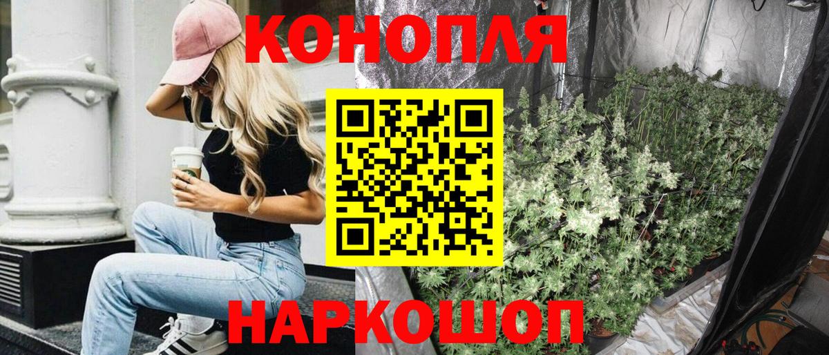 Конопля конопля  МАРИХУАНА конопля  Бошки Шишки MAZAR  Конопля White Widow  Буйнакск  Вход с VPN 